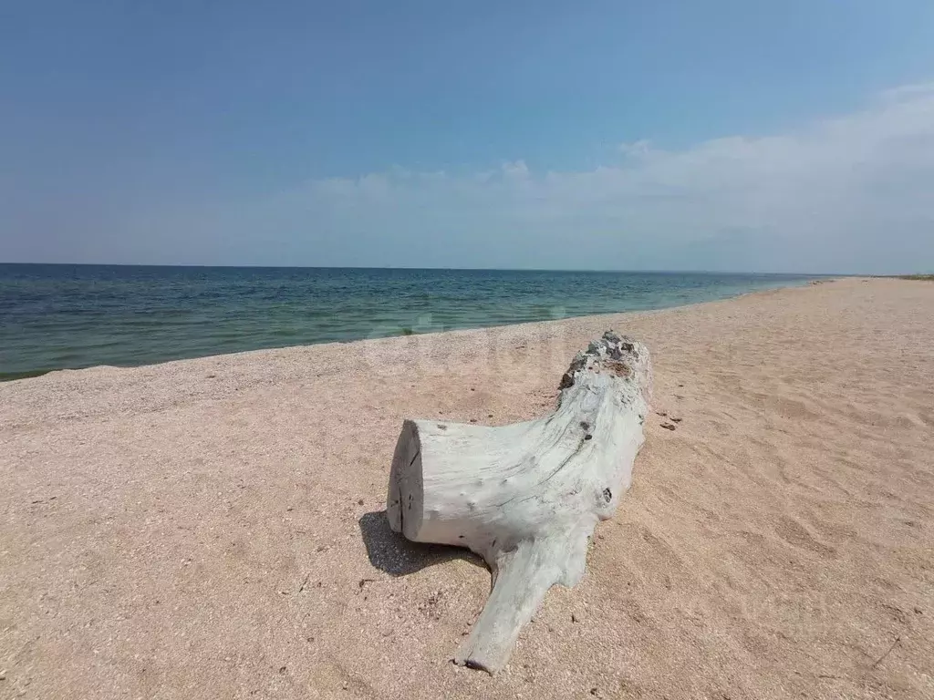 Участок в Крым, Ленинский район, Семисотское с/пос, с. Каменское ул. ... - Фото 1