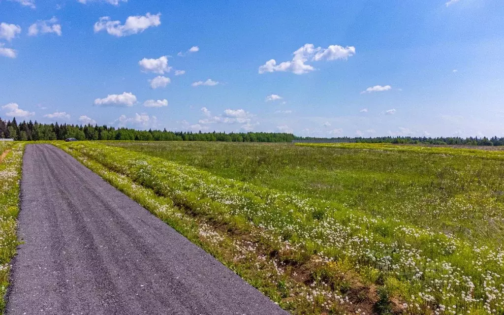 Участок в Калужская область, Боровский муниципальный округ, Ворсино ... - Фото 2