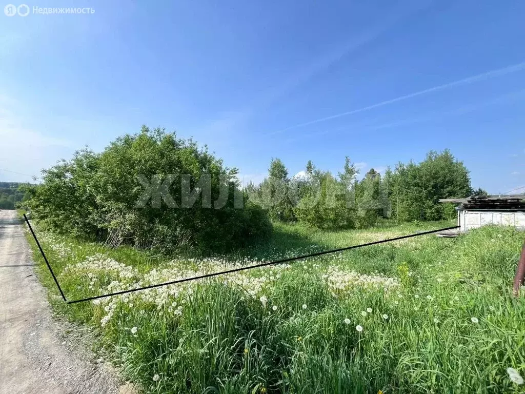 Участок в Барышевский сельсовет (10 м) - Фото 1