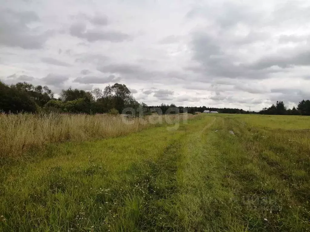 Участок в Вологодская область, д. Заречная  (14.46 сот.) - Фото 2