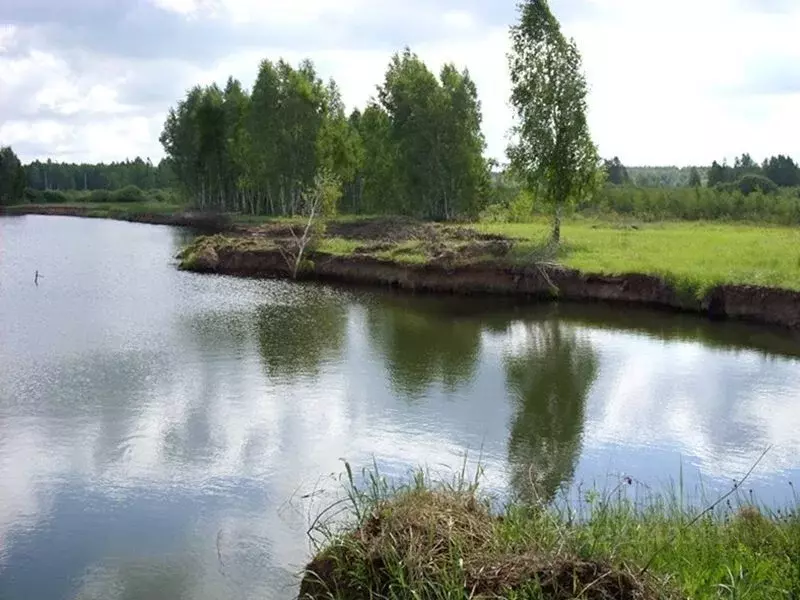 Участок в Московская область, Раменский муниципальный округ, Карпово ... - Фото 1