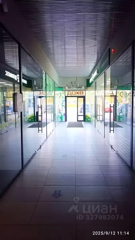 Торговая площадь в Московская область, Воскресенск городской округ, с. ... - Фото 2