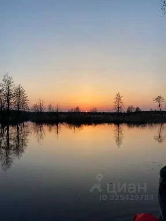 Дом в Воронежская область, Новоусманский район, с. Хреновое ул. ... - Фото 2