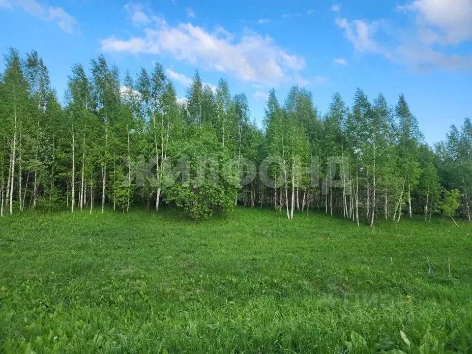 Участок в Новосибирская область, Мошковский район, с. Томилово ул. ... - Фото 1