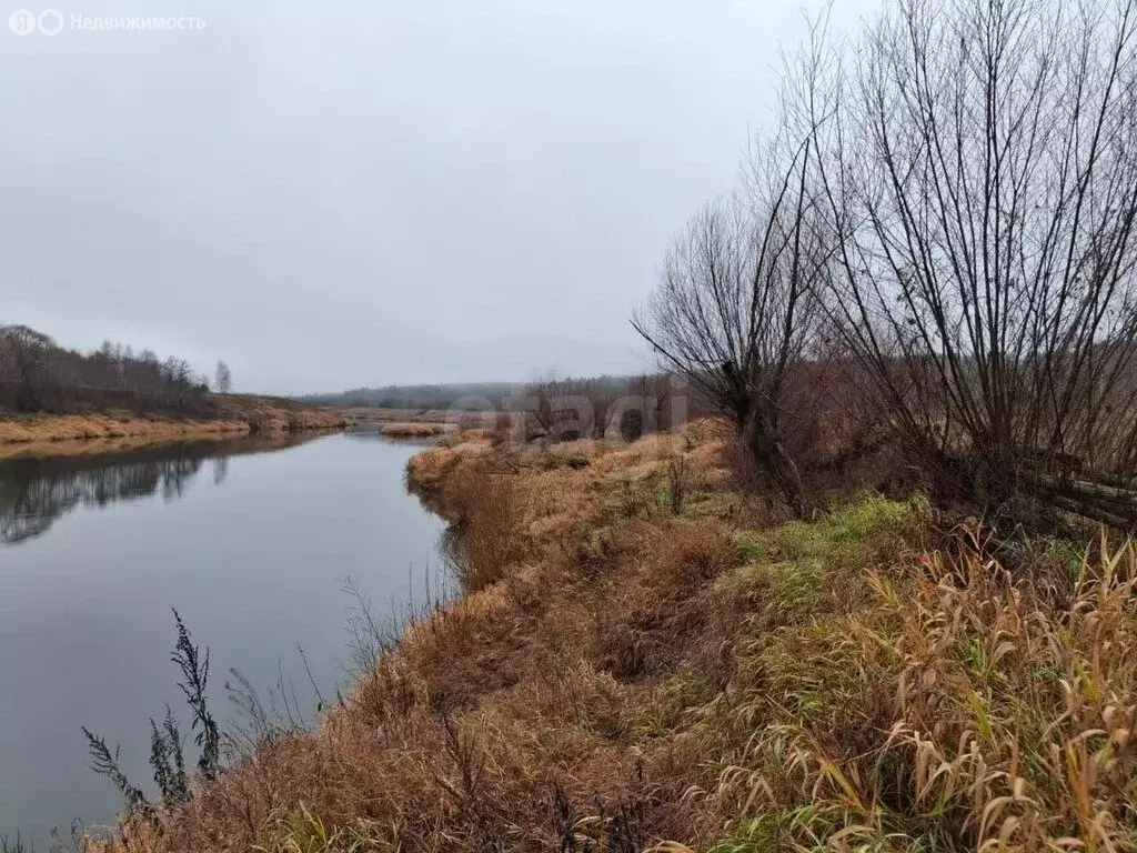 Участок в Калужская область, Юхновский муниципальный округ, сельское ... - Фото 1