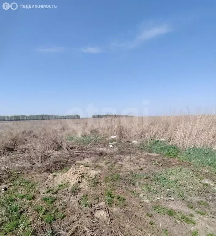 Участок в городской округ Ульяновск, село Луговое (5.9 м) - Фото 0