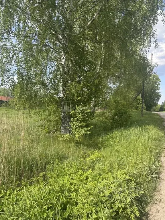 Участок в Владимирская область, Собинский муниципальный округ, пос. ... - Фото 1