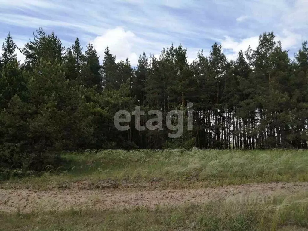 Участок в Саратовская область, Балашовский район, с. Большой Мелик ... - Фото 1