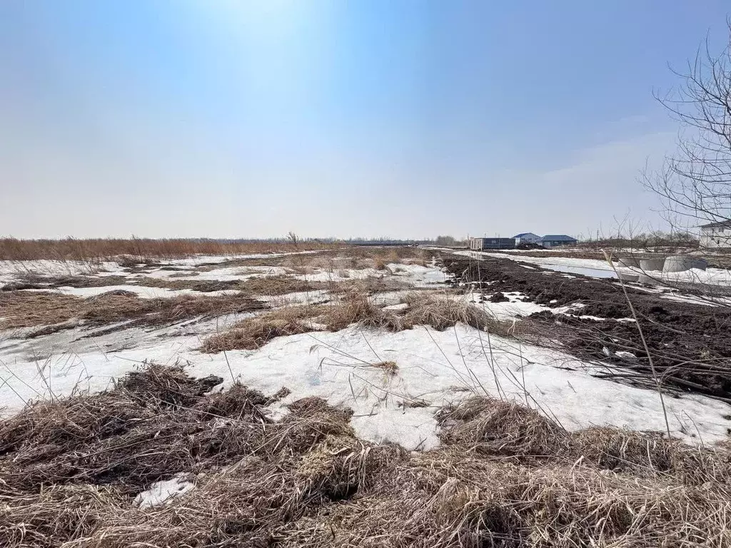 Участок в Еврейская автономная область, Смидовичский район, Заречье ... - Фото 0