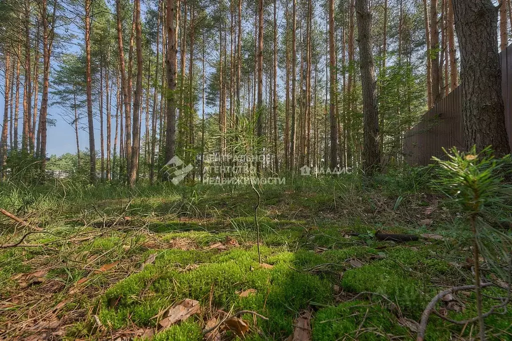 Участок в Рязанская область, Рязанский муниципальный округ, с. ... - Фото 1