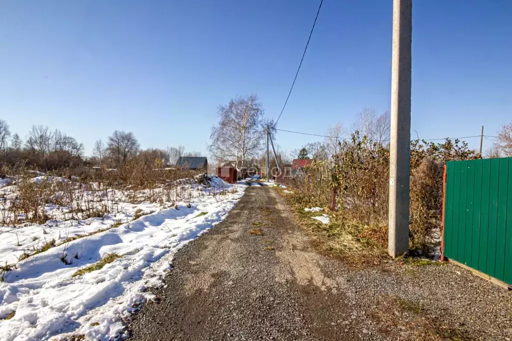 Участок в Новосибирская область, Новосибирск Дельфин СНТ, 60 (6.15 ... - Фото 1