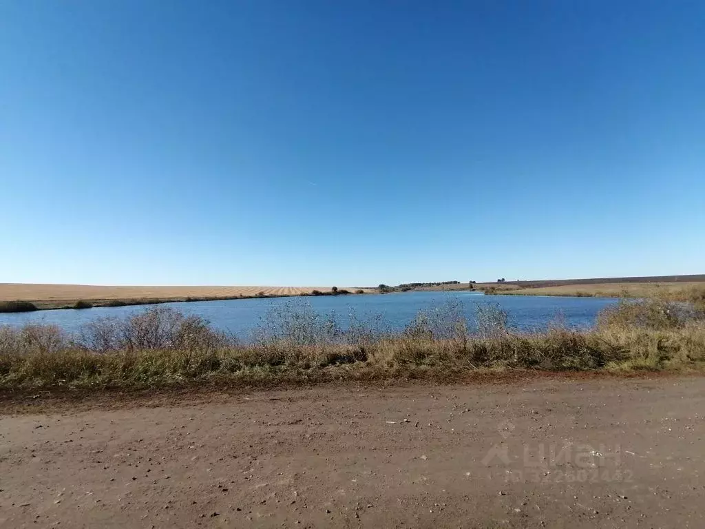 Участок в Пензенская область, Мокшанский район, с. Успенское  (35.0 ... - Фото 2