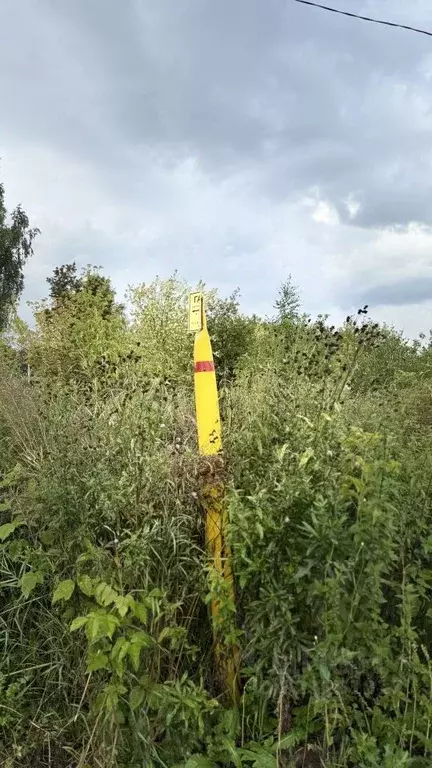 Участок в Кировская область, Киров городской округ, пос. Чистые Пруды ... - Фото 0