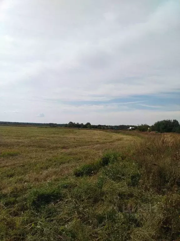 Участок в Московская область, Орехово-Зуевский городской округ, д. ... - Фото 0