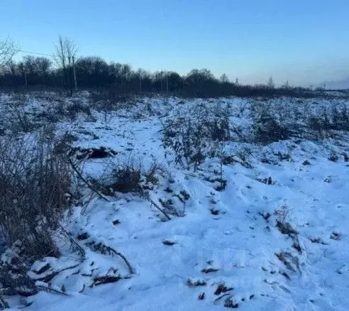Участок в Московская область, Зарайск муниципальный округ, д. Латыгори ... - Фото 1