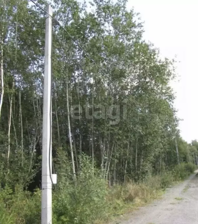 Участок в Ленинградская область, Приозерский район, Ларионовское ... - Фото 0