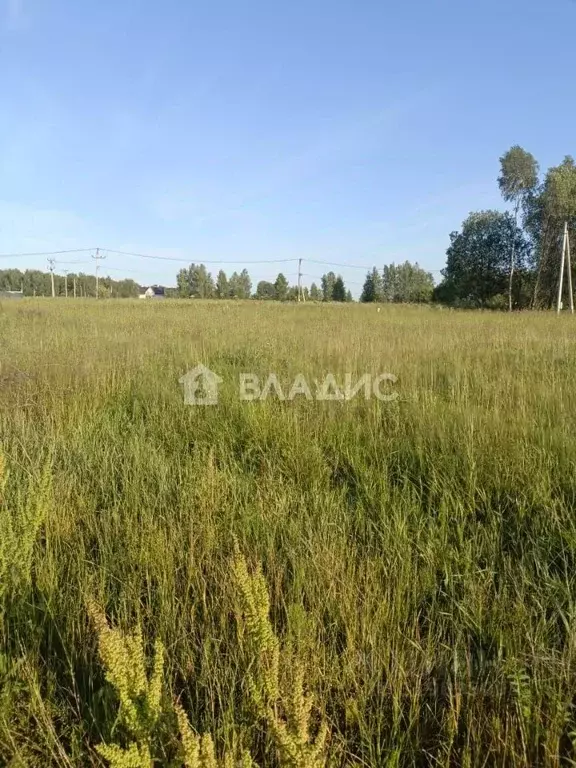 Участок в Калужская область, Калуга городской округ, д. Матюнино  ... - Фото 0