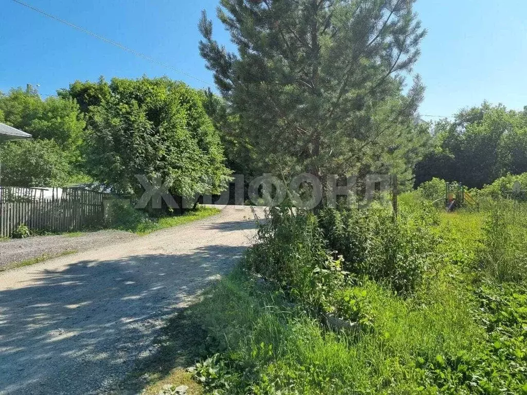 Дом в Новосибирская область, Новосибирск Дарьяльская ул. (120 м) - Фото 1
