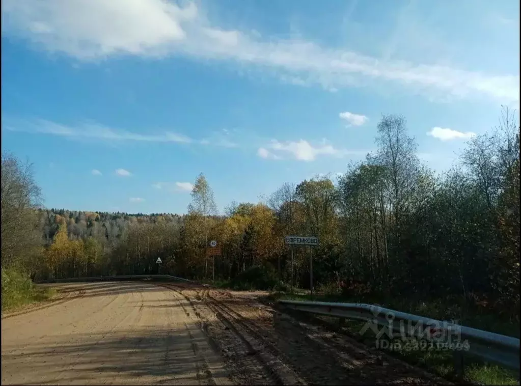 Участок в Ленинградская область, Лодейнопольский район, Алеховщинское ... - Фото 1
