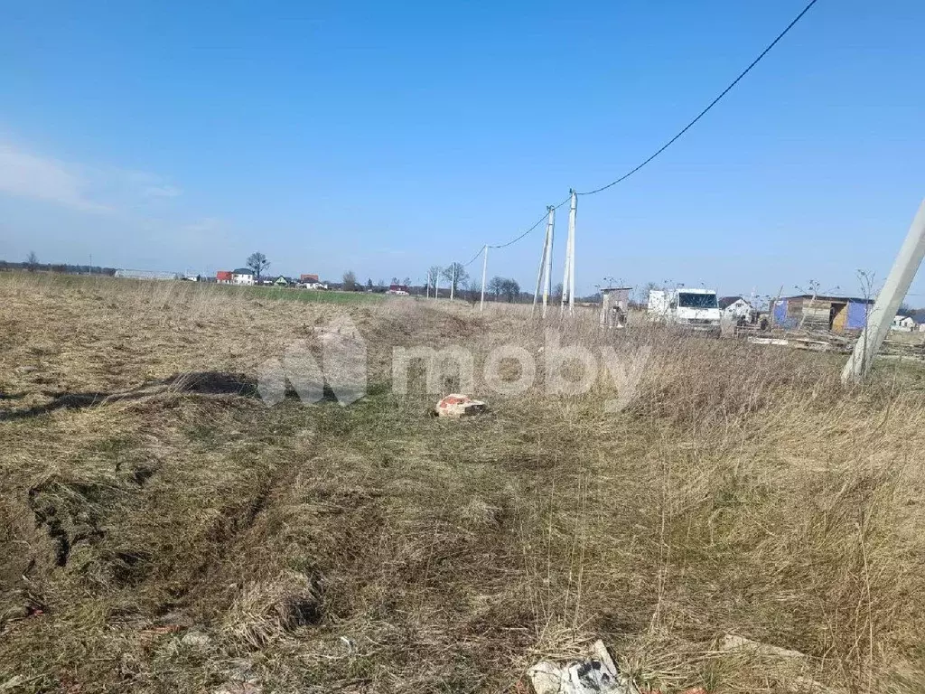 Участок в Калининградская область, Гурьевский муниципальный округ, ... - Фото 1