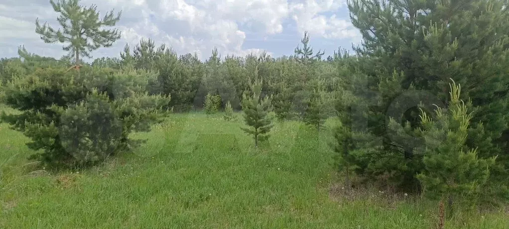 Участок 17,5 га (СНТ, ДНП) - Фото 0
