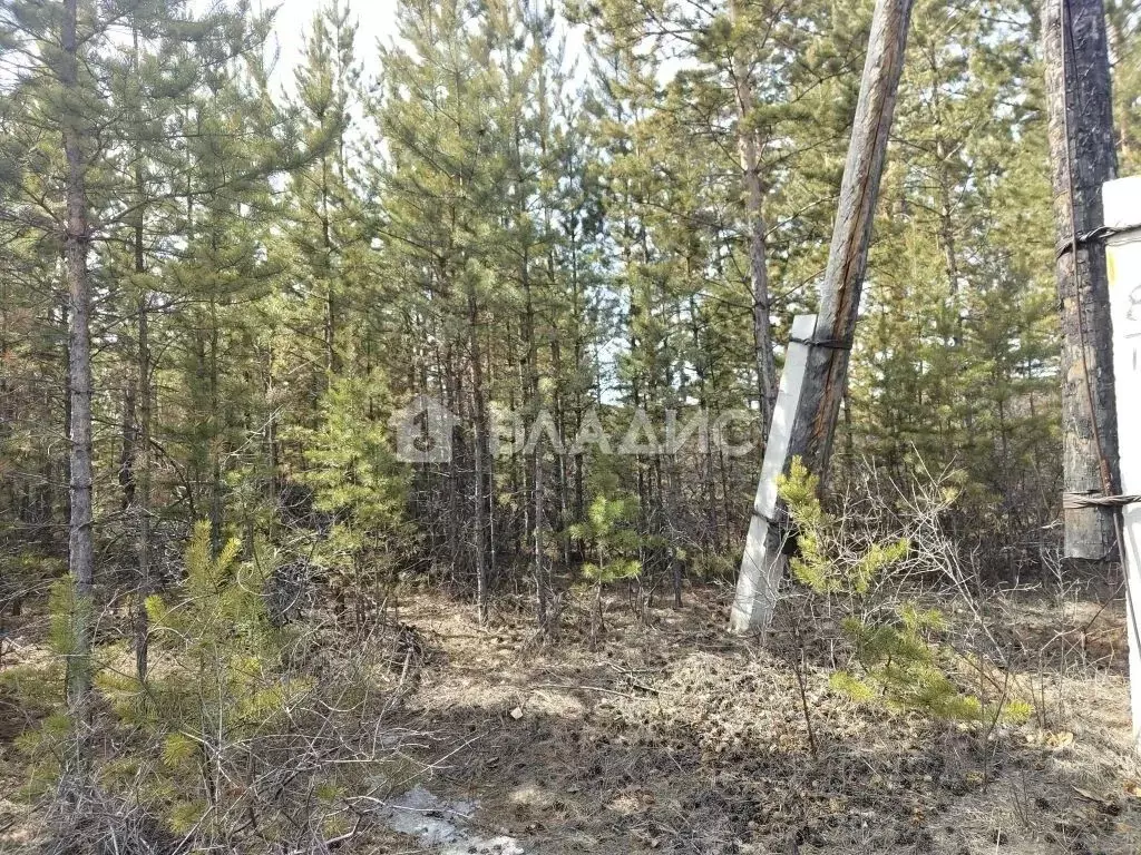 Участок в Бурятия, Улан-Удэ ул. Солбона Ангабаева (8.0 сот.) - Фото 1