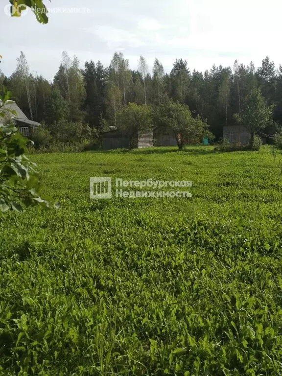 Участок в Чаща, Дорожная улица, 31 (18 м) - Фото 0