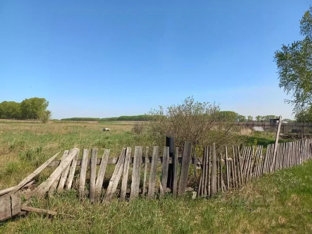 Участок в Кемеровская область, Беловский муниципальный округ, д. ... - Фото 2