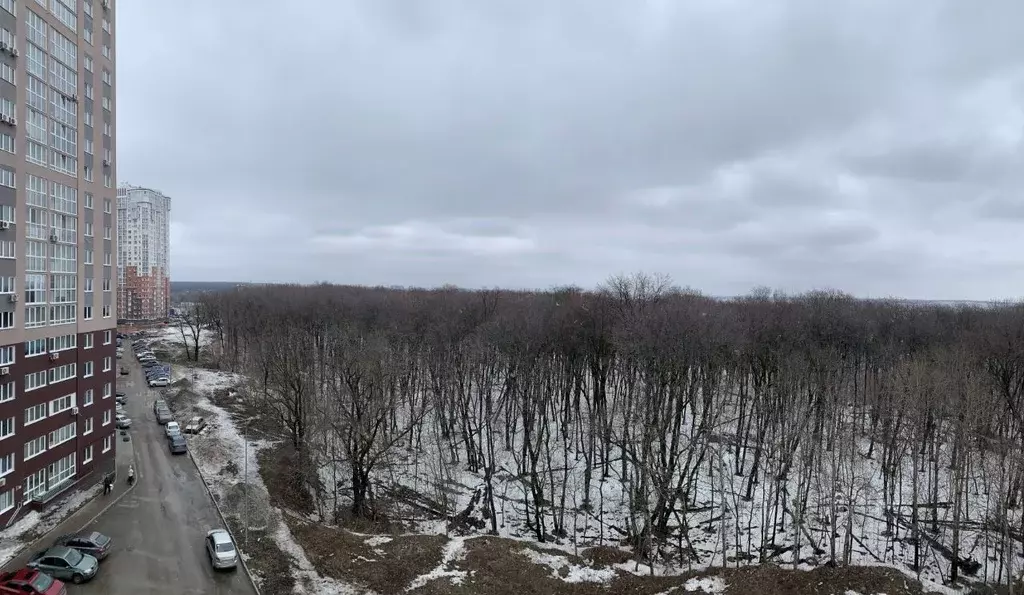 3-к кв. Самарская область, Самара Московское шоссе, 18-й км, 51 (82.6 ... - Фото 2