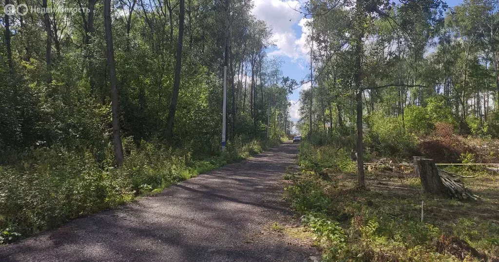 Участок в Московская область, городской округ Домодедово, деревня ... - Фото 0