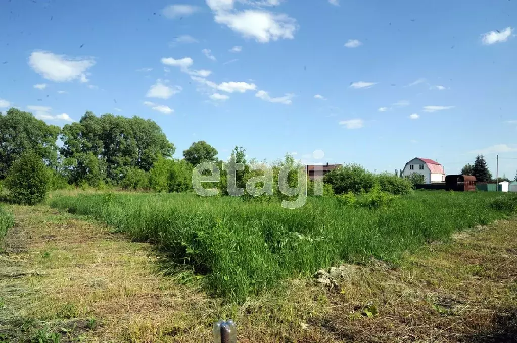 Участок в Воронежская область, Новоусманский район, с. Рогачевка ул. ... - Фото 1