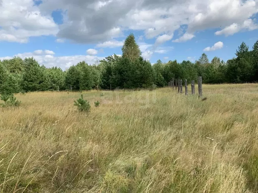 Участок в Курганская область, Кетовский муниципальный округ, д. ... - Фото 1