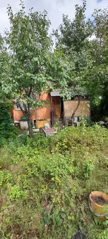 Дом в Саратовская область, Саратов проезд 4-й Ягодный, 9 (26 м) - Фото 1