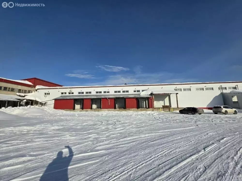 Склад (2919 м) - Фото 2