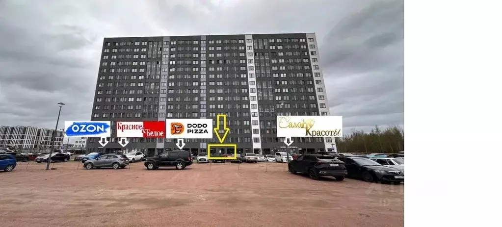 Помещение свободного назначения в Санкт-Петербург пос. Парголово, дор. ... - Фото 0