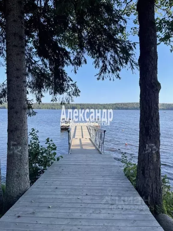 Участок в Ленинградская область, Выборгский район, Приморское ... - Фото 2