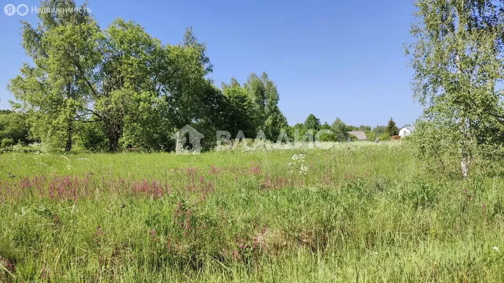 Участок в деревня Шеняно-Слобода, улица Ветеранов (50 м) - Фото 1