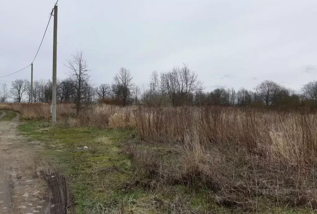 Участок в Калининградская область, Гурьевский муниципальный округ, ... - Фото 0