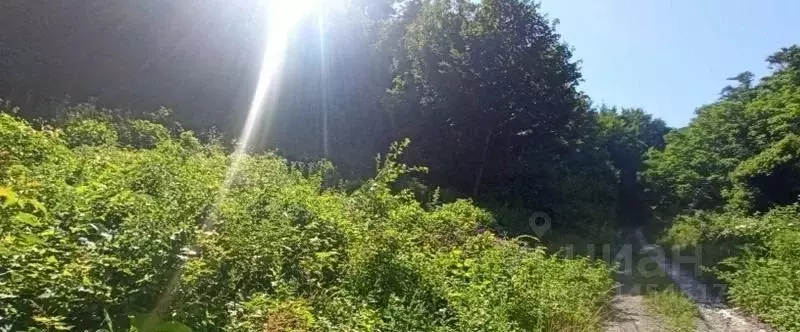 Участок в Ростовская область, Ростов-на-Дону Алмаз СНТ,  (6.4 сот.) - Фото 1