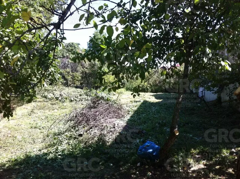 Участок в Краснодарский край, Сочи Макаренко СНТ, ул. Олимпийская, ... - Фото 1