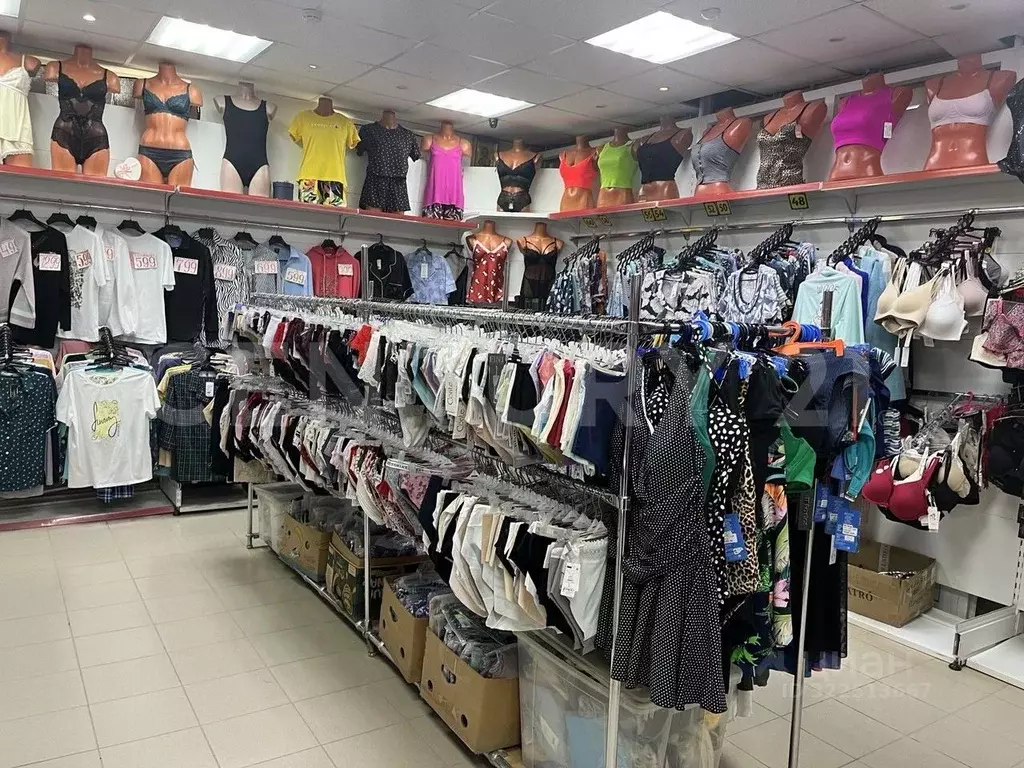 Торговая площадь в Пермский край, Кудымкар ул. Гайдара, 1 (52 м) - Фото 2