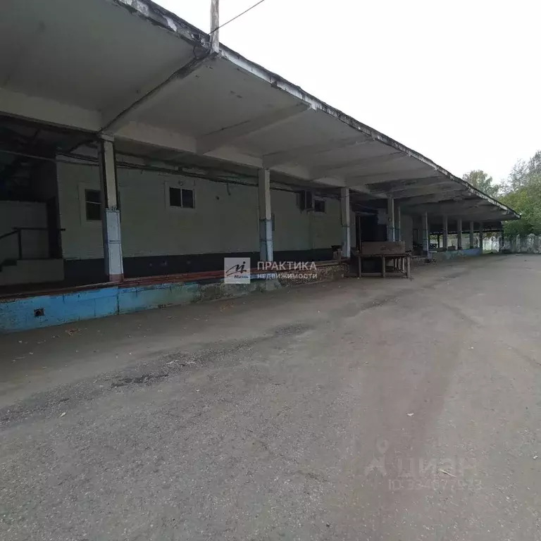 Склад в Московская область, Ногинск Богородский городской округ, ул. ... - Фото 2