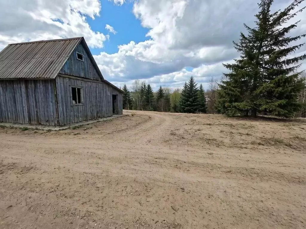 Участок в Оренбургская область, Оренбургский район, Весенний ... - Фото 1