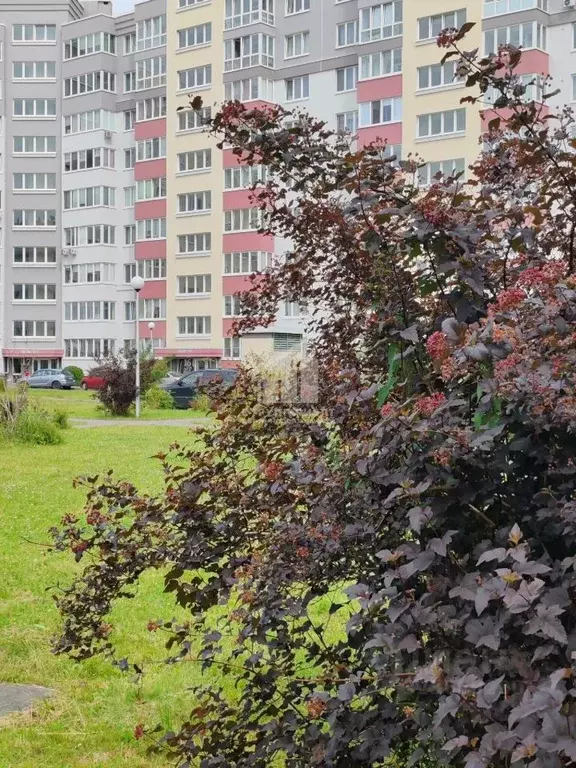 2-к кв. Калининградская область, Калининград Флотская ул., 9 (67.0 м) - Фото 1