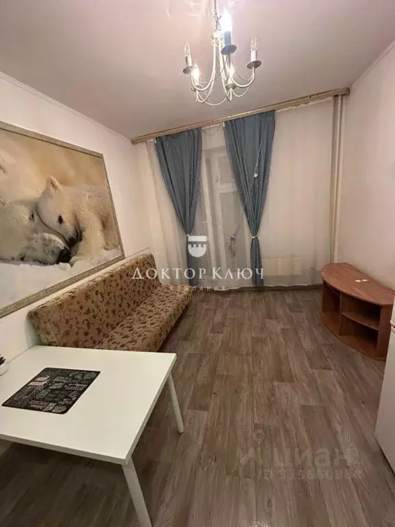 1-к кв. Новосибирская область, Новосибирск Березовая ул., 19 (18.9 м) - Фото 1
