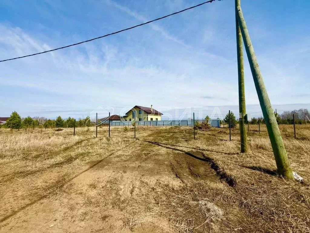 Участок в Тюменская область, Тюменский район, с. Каменка, Подушкино ... - Фото 0