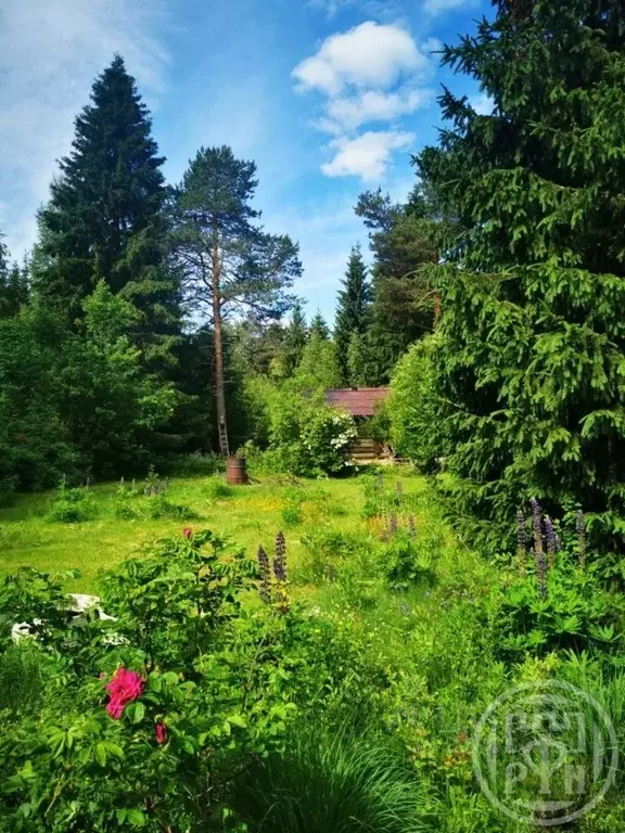 Дом в Ленинградская область, Приозерский район, Раздольевское с/пос, ... - Фото 1