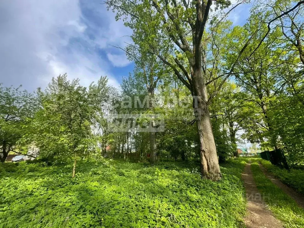 Участок в Калужская область, Дзержинский район, Льва Толстого с/пос, ... - Фото 2