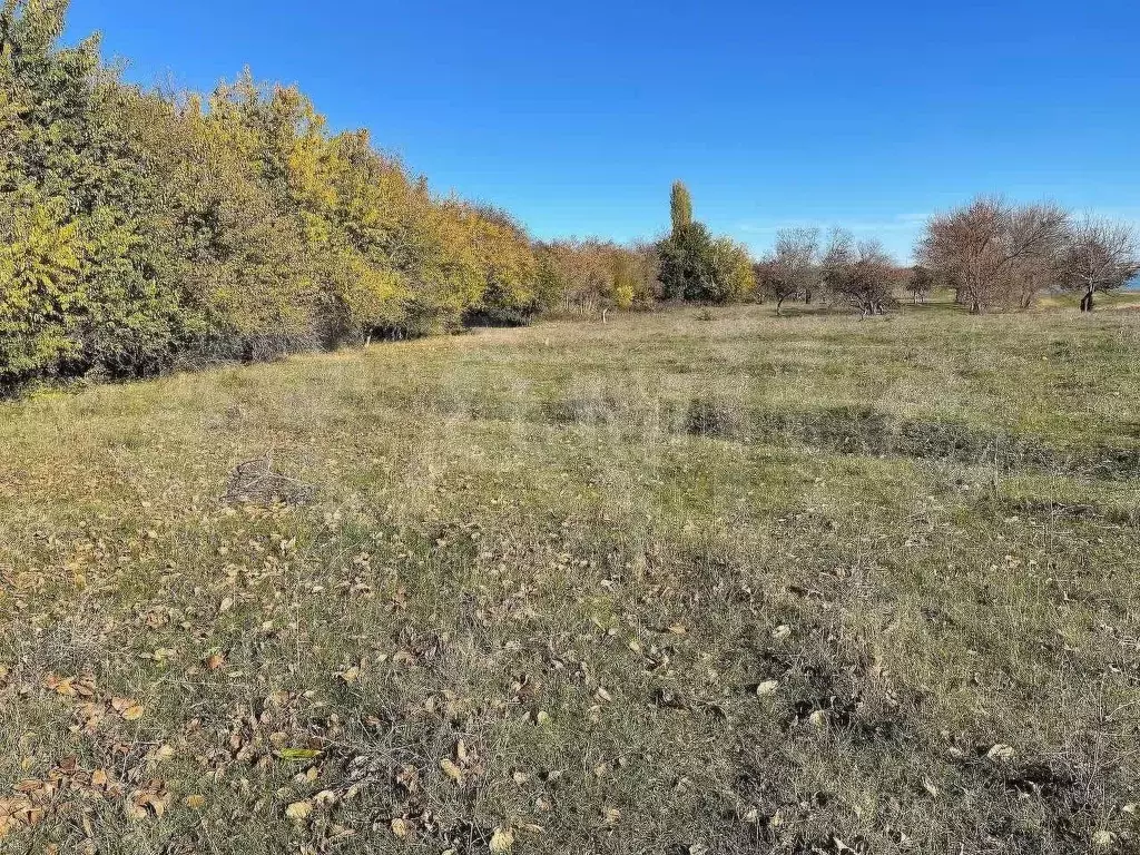 Участок 100 сот. (личное подсобное хозяйство (лпх)) - Фото 0