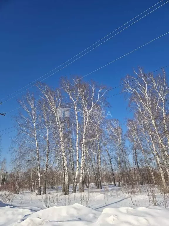 Участок в Новосибирская область, Новосибирск 2-й Биатлонный пер. (10.0 ... - Фото 0